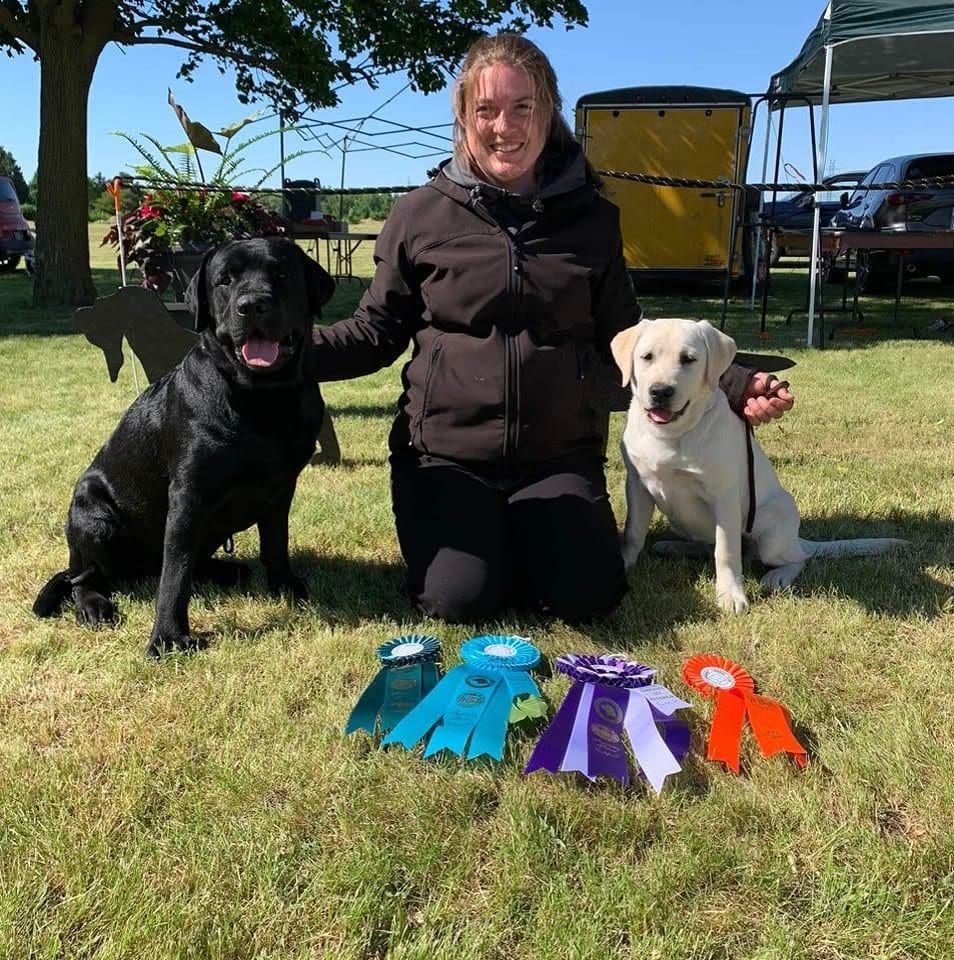 Mandy Michels kneeling between a black and a yellow Labrador with their show ribbons